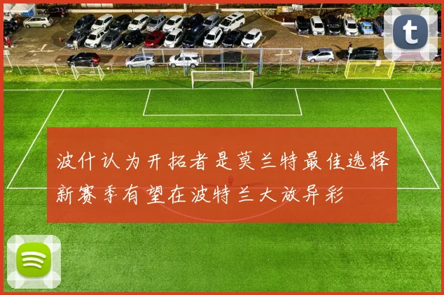 波什认为开拓者是莫兰特最佳选择新赛季有望在波特兰大放异彩