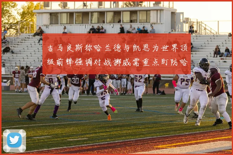 吉马良斯称哈兰德与凯恩为世界顶级前锋强调对战挪威需重点盯防哈兰德